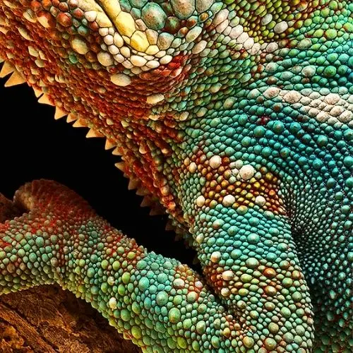 Yüksek Kaliteli Baskılar